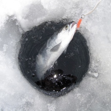 ice_fishing_hole